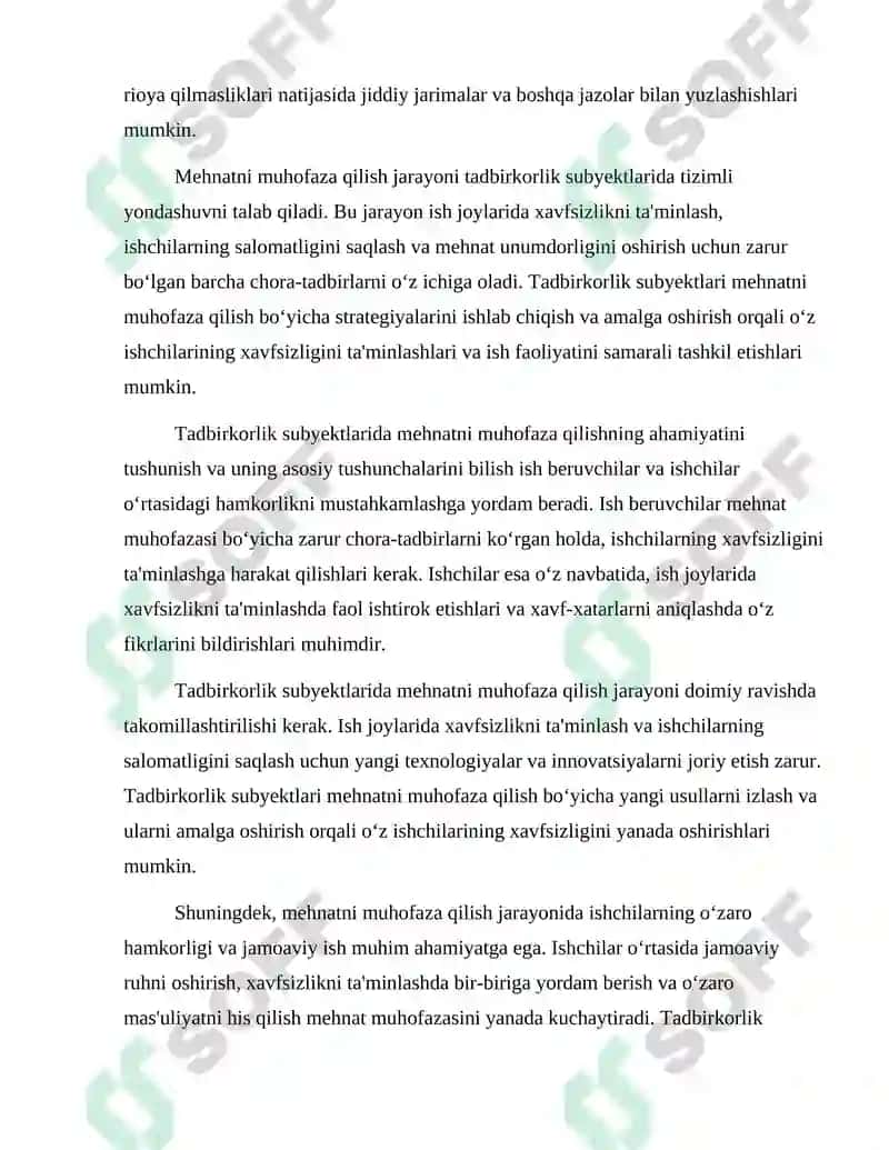 Tadbirkorlik subyektlarida mehnatni muhofaza qilish 4