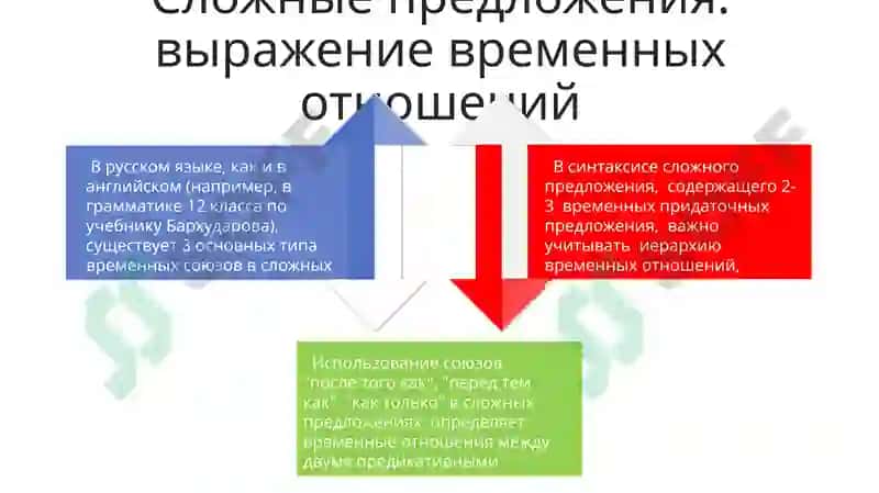 Скелет туловиша.Выраженне временных отношений в простом и сложном предложении 4