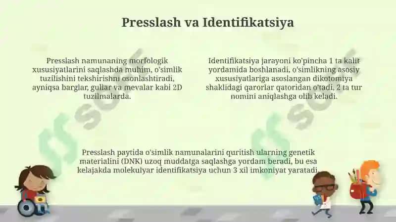 Gerbariy tayyorlash va tayyorlash usullari 4
