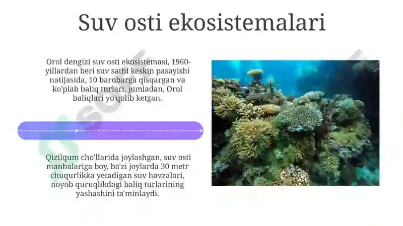 Baliqlar va dengizda yashovchilar 4