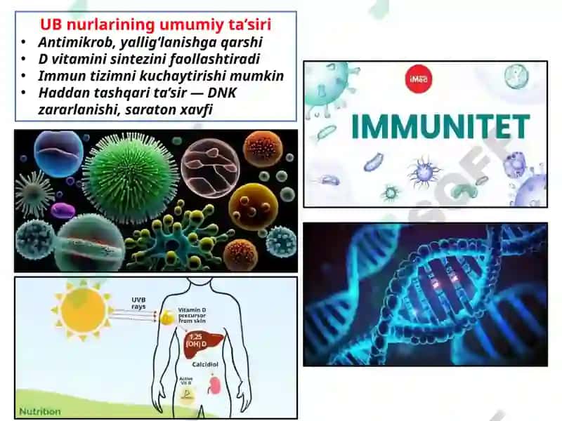 Ultrabinafsha (UB) nurlar 4