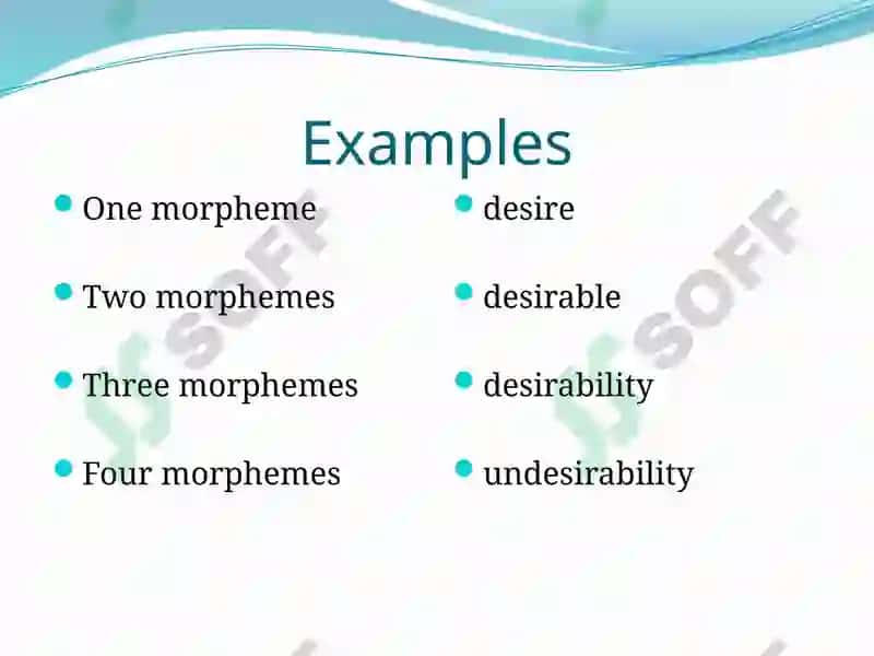 The morphemic structure of the word 4