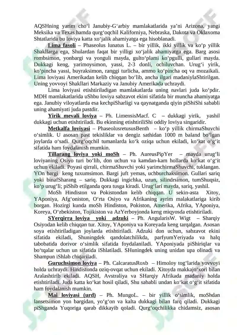 SOYA VA LOVIYA – SISTEMATIKASI, MORFOLOGIK BELGILARI 4