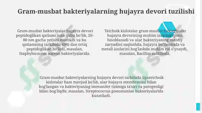Gram-manfiy va Gram-musbat bakteriyalar 4