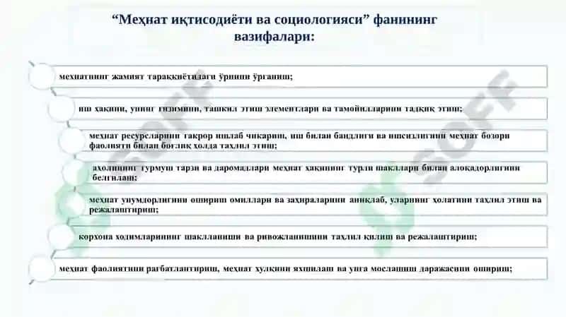 Меҳнат иқтисодиёти ва социологияси 4