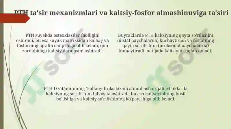 Paratiroid bezlar va ularning kaltsiy, fosfor va bikarbonat metabolizmidagi roli 4