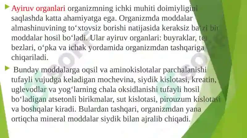 Ayiruv tizimining yoshga oid fiziologiyasi va gigienasi 4