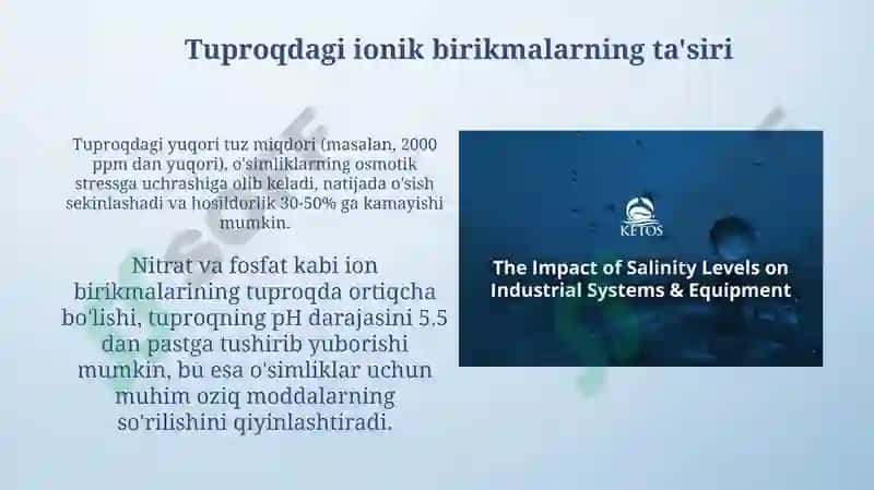 Ionik birikmalarning tuproq va suv ifloslanishidagi turlari va manbalari 4