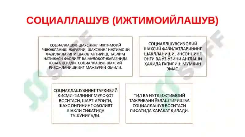 Социогенезда шахс 4