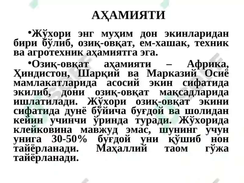 ЖЎхори биологияси ва етиштириш технологияси 4