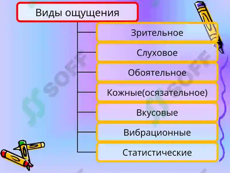 Классификация ощущений 4
