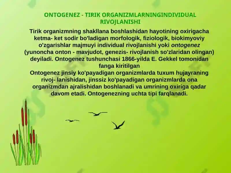 Ontogenez-tirik organizmlarning individual rivojlanishi 4