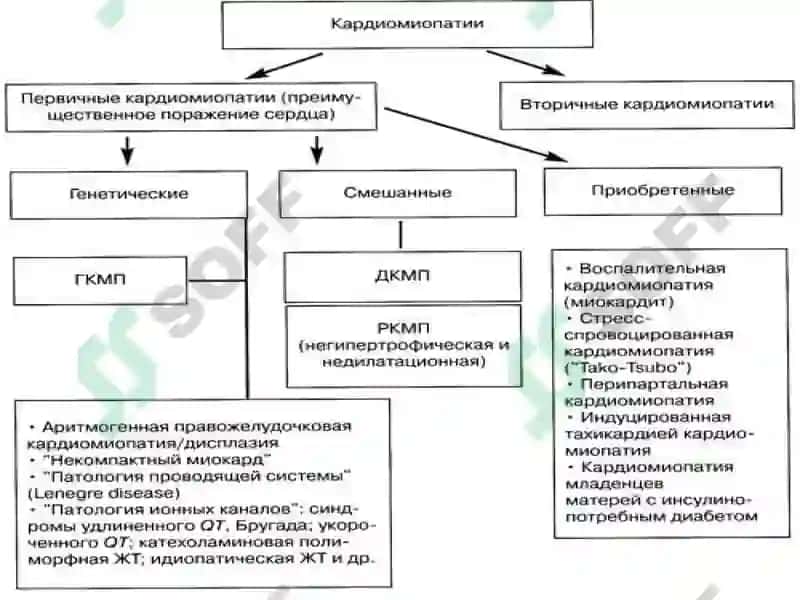 КАРДИОМИОПАТИИ 4