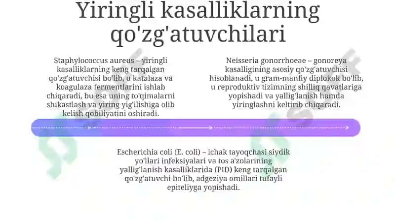 Jinsiytizima'zolariyalligʻlanishjarayoninipatafizalogiyasi.Yiringlikasalliklarchaqiruvchisi. 4