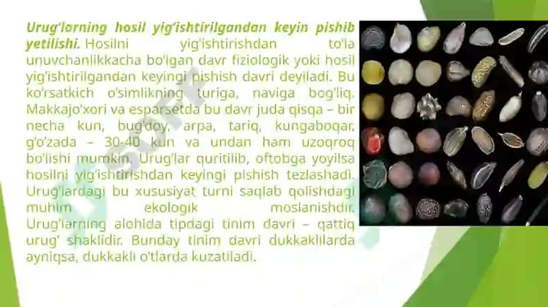 QISHLOQ XO‘JALIK EKINLARI URUG‘INING FIZIK-MEXANIK XOSSALARINIO‘RGANISH. 4