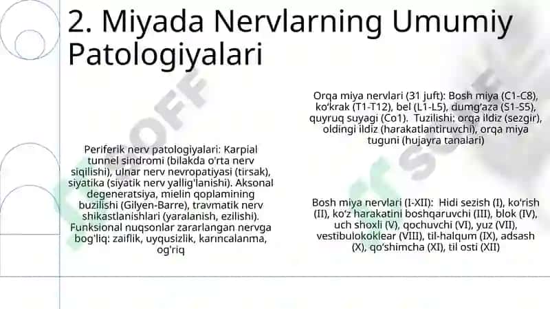 Bosh miya va orqa miya nervlarining tuzilishi funksiyasi patalogiyasi va shikastlanish sindromi 4