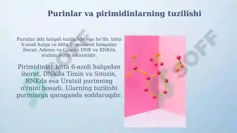 Purin va pirimidin asoslari almashinuvi 4
