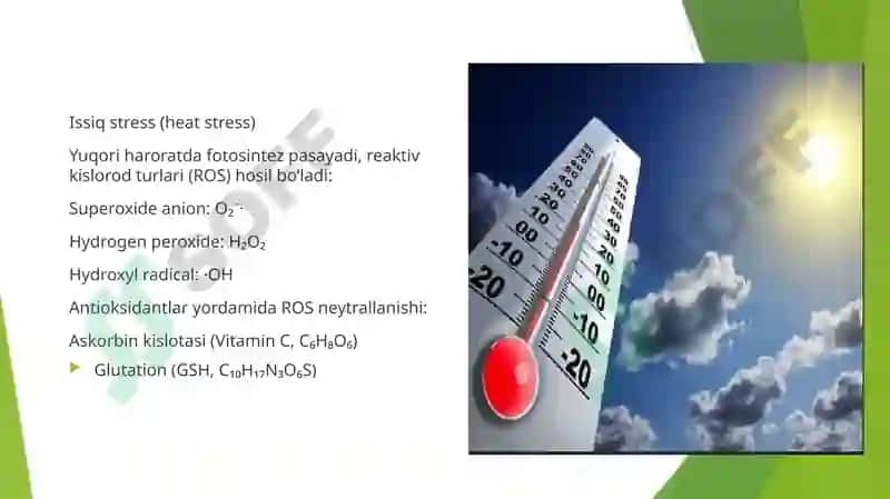 Stress reaksiyalari 4