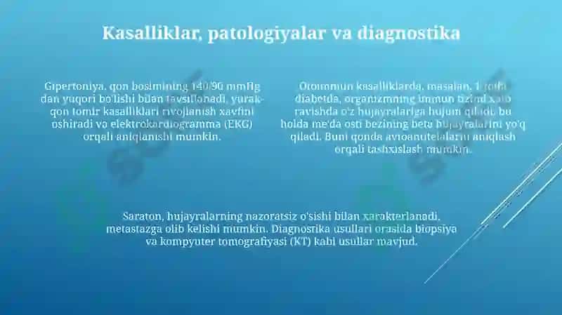 Odam organizmiga oid terminlar ishtirokida taqdimot 4