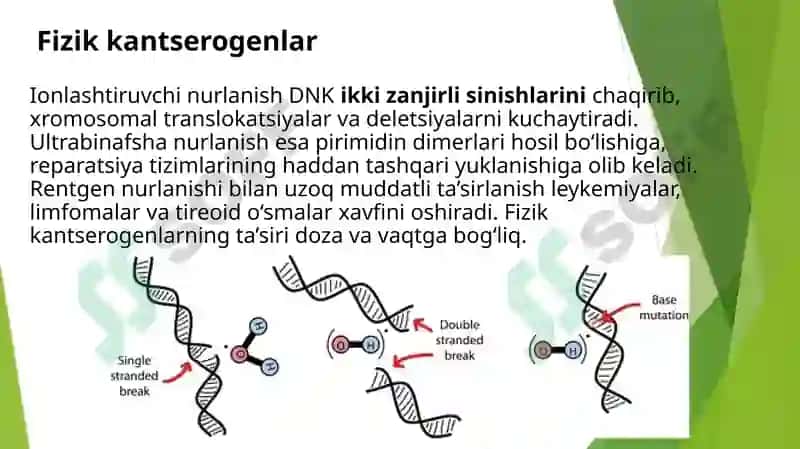 Xavfli o’smalarning etiologiyasi. Kantserogenezning zamonaviy nazariyasi. Obligat va fakultativ saraton oldi kasalliklar 4