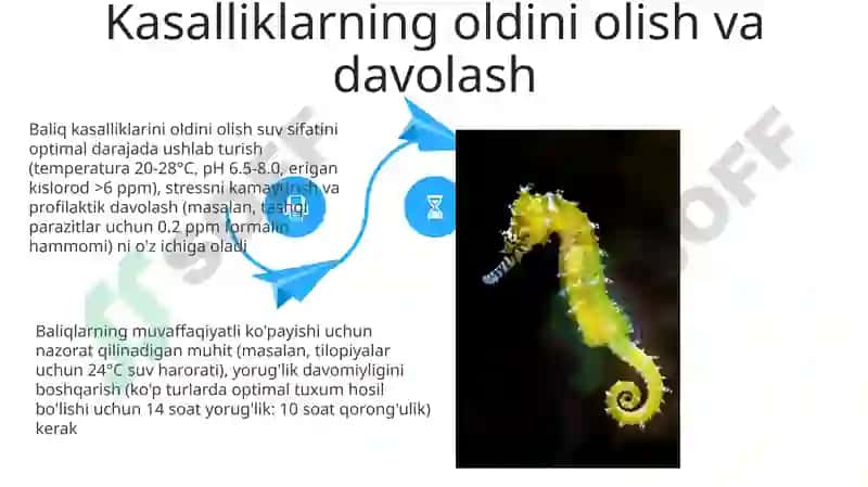 Baliqlarning nasl to‘g‘risidagi g‘amxo‘rligi 4