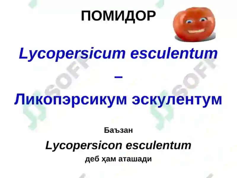 ҚИШЛОҚ ХЎЖАЛИКФИТОПАТОЛОГИЯСИ 4