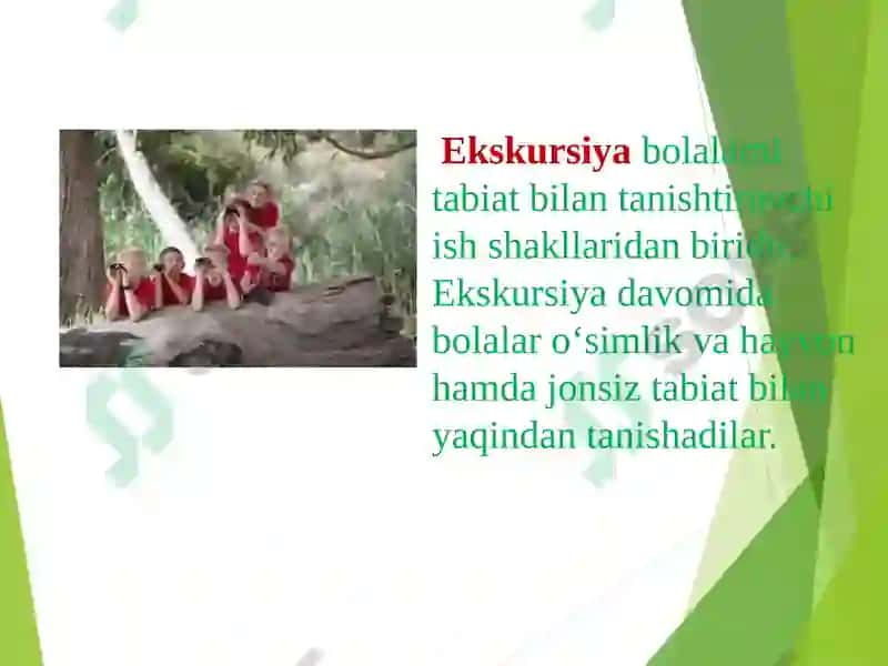 Tayyorlov Guruh Bolalarini Tabiatda Mehnatlari Tashkil Etish 4