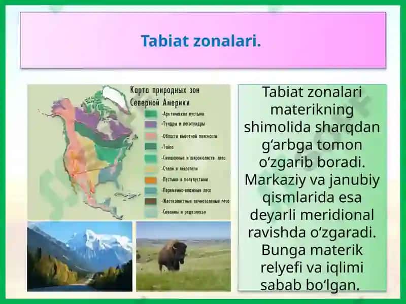 Shimoliy Amerika tabiat zonalarining tarkibi 4