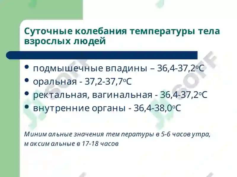 Лекция 4 Патофизиология 4