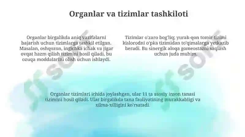Bilogiyaninganotomiktuzilishi 4