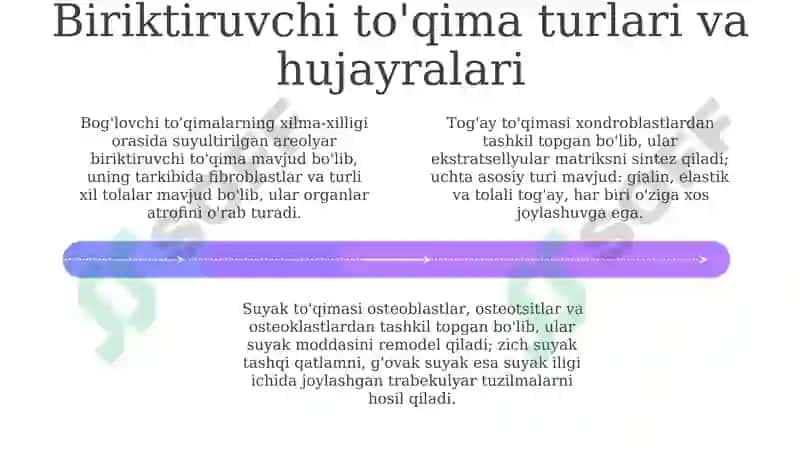Biriktiruvchitoʻqima 4