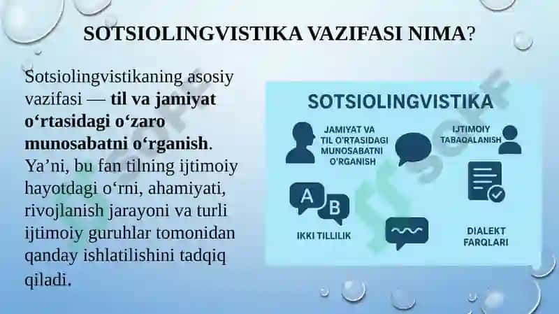 Sotsiolingvistika  tarmoqlari 4