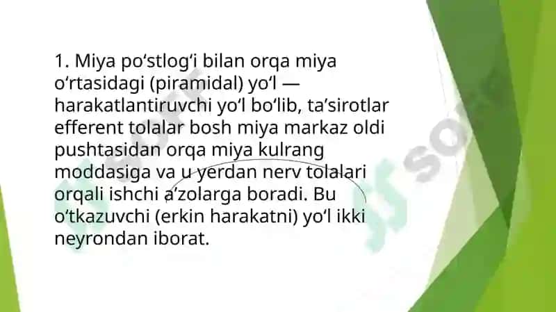 Orqamiyaning reflektor va o'tkazuvchi yo'l faoliyati tekshirish usullar 4