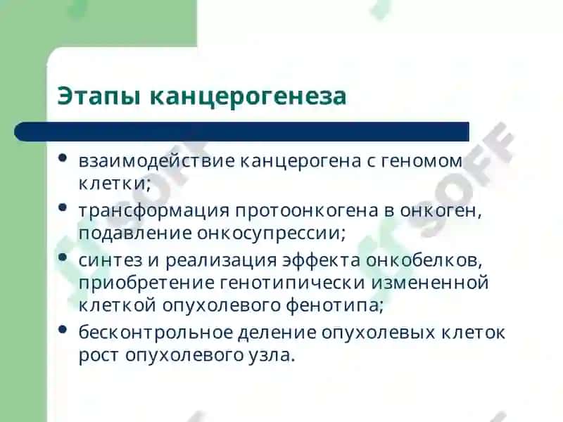 Патофизиология опухолей 4