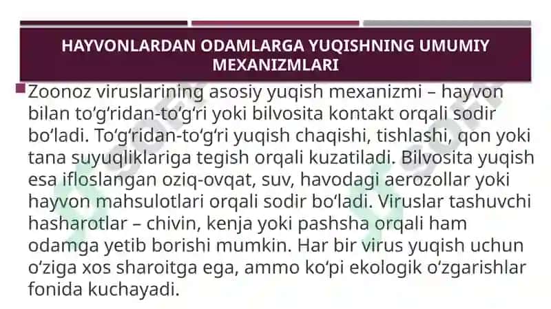 Zoonoz viruslari va ularning insonga yuqish mexanizmlari 4