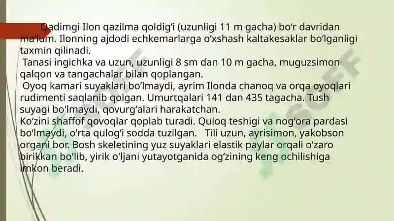 Sudralib yuruvchilar (Reptilia) sinfi 4
