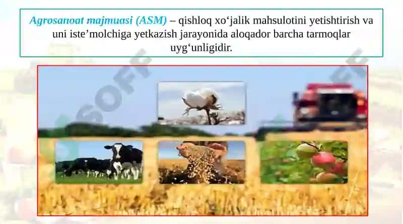 Agrosanoat Majumasi 4