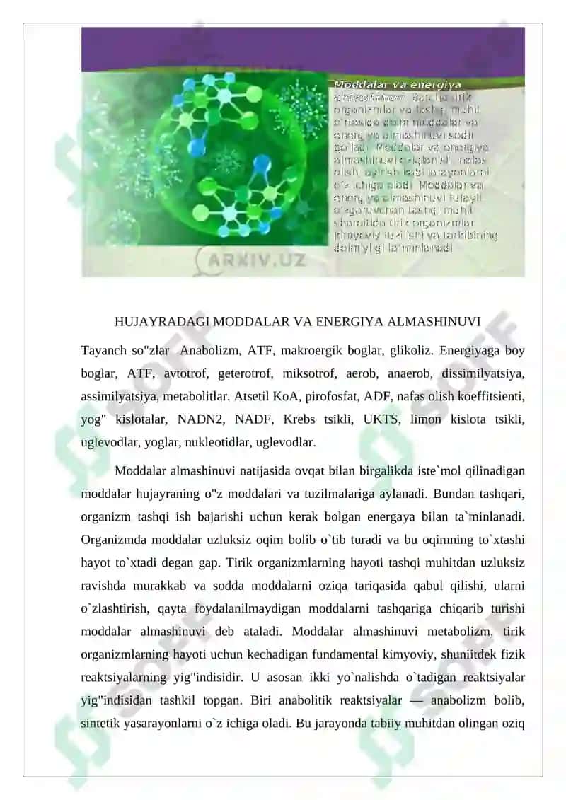 Hujayra proliferatsiyasi muommolarining tibbiyotdagi ro’li 4