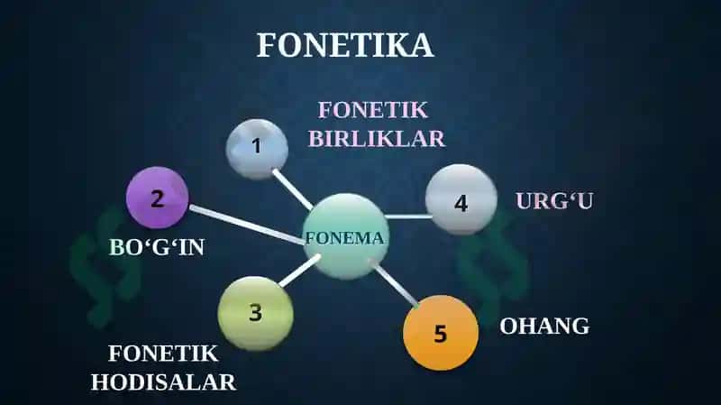 Fonetika haqida ma’lumot. Fonetikaning turlari 4