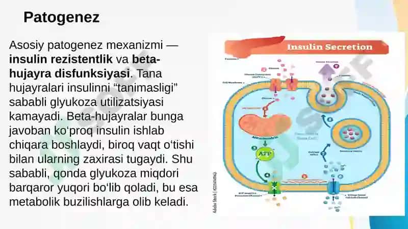 Qandli diabet. Kasallik simptomatikasi va tekshiruv usullari 4