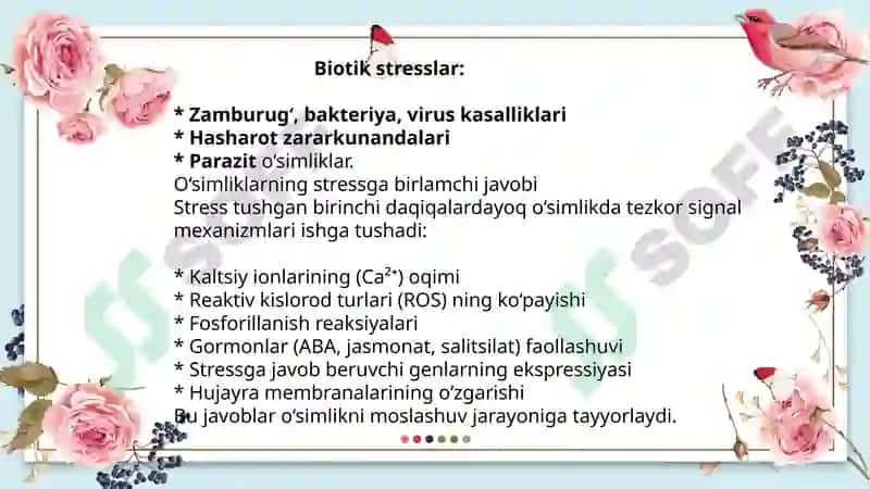 O‘simliklarda stress fiziologiyasi va ularning moslanish mexanizmlari 4