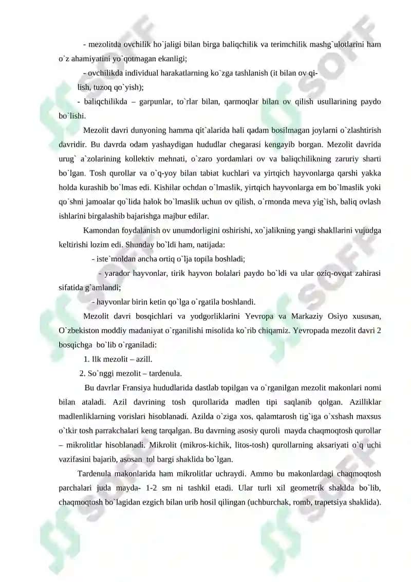 Mezolit-neolit davri lokal madaniyatlari 4