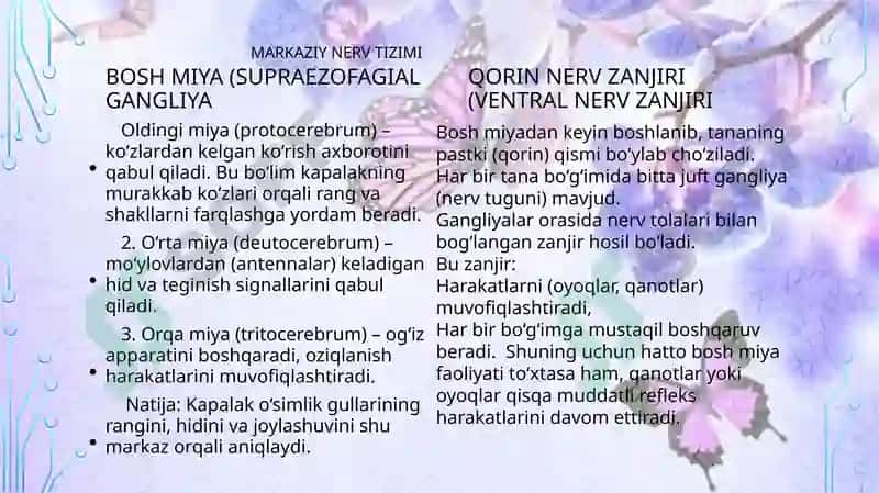 Kapalakning nerv va reproductive tizimi 4