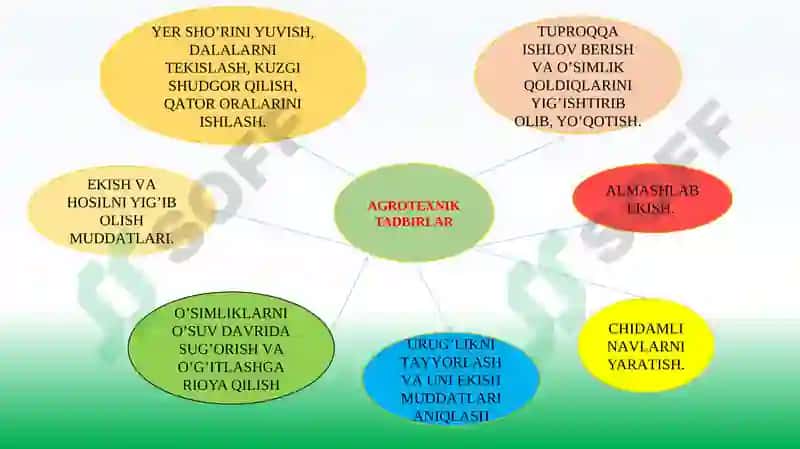 O'SIMLIKLAR KАSАLLIKLАRIGАQАRSHI KURАSH USULLАRI 4