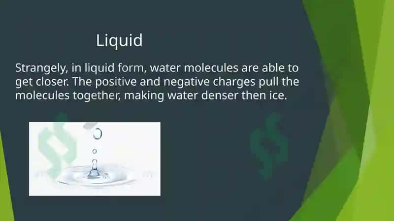 Water and Water Structure 4