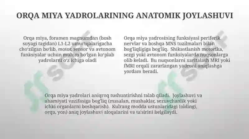 Orqa miya o'zaklarining ahamiyati 4