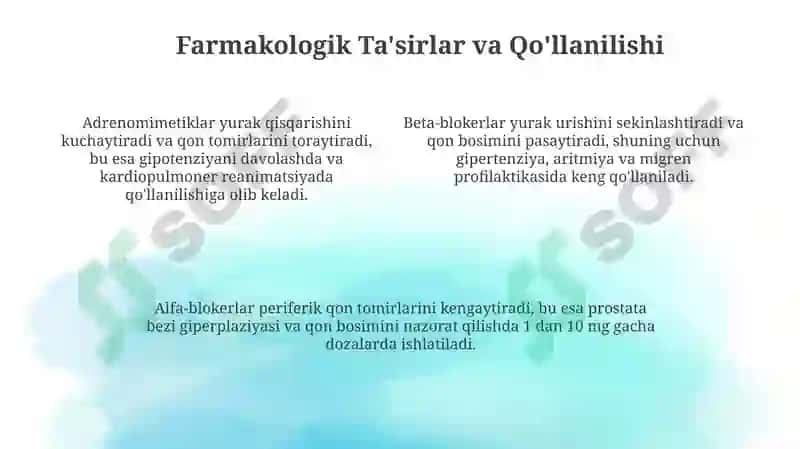 Adrenomimetiklar va Adrenoblokatorlar: Ta'sir Mexanizmlari va Farmakologik Ta'sirlar 4