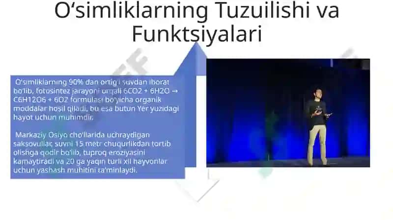 O'simliklar va hayvonlar mavzusida taqdimot 4