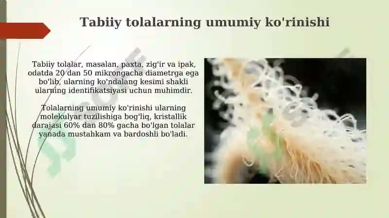 Paxta, zig'ir va ipakning mikroskop ostidagi ko'rinishi 4