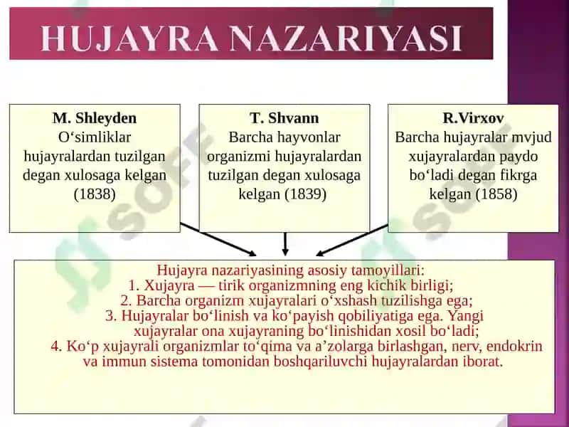 MA’RUZA REJASI 4